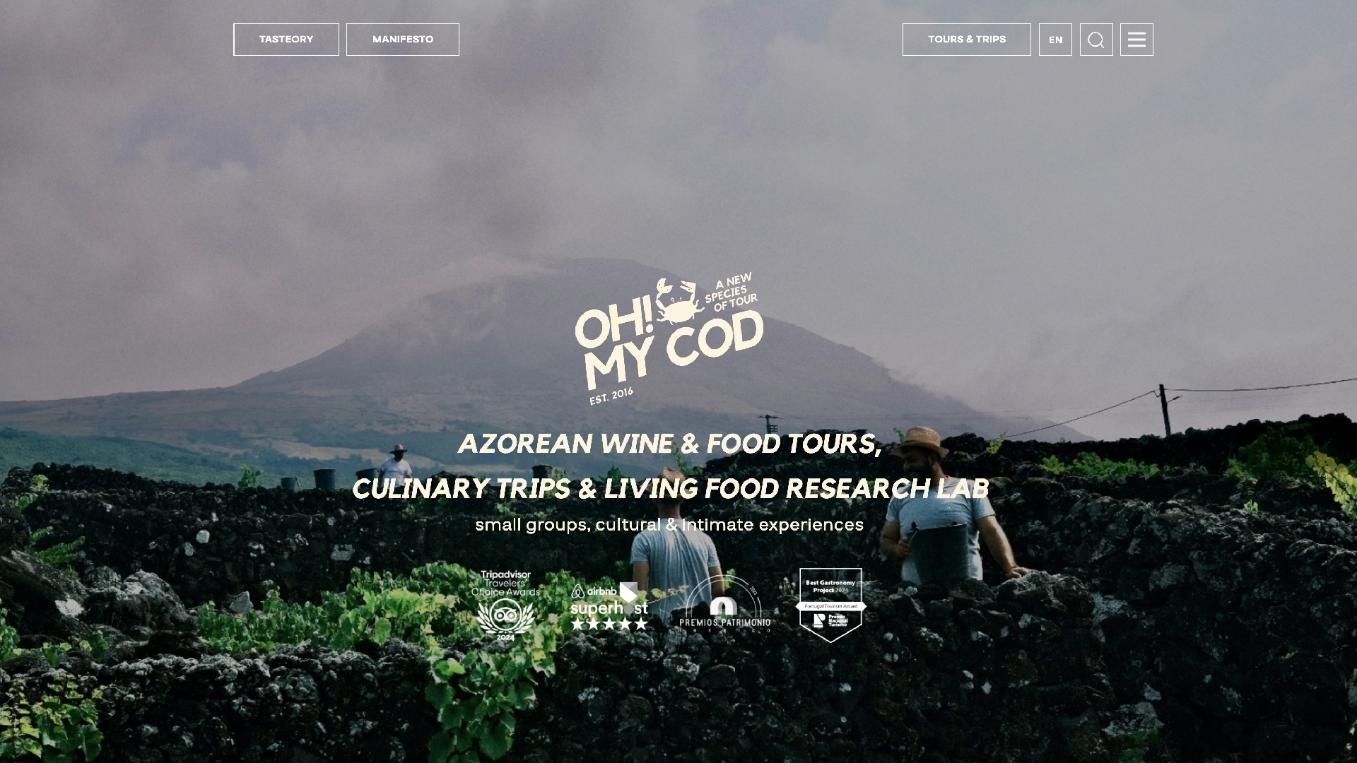  Website ohmycodtours